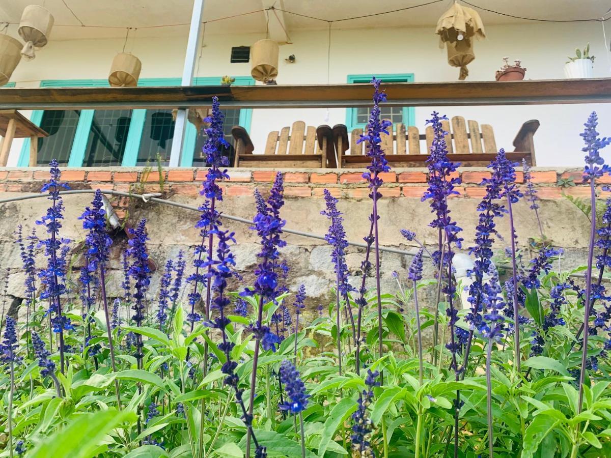 Thang Nam Ruc Ro - Dalat Homestay Exteriör bild